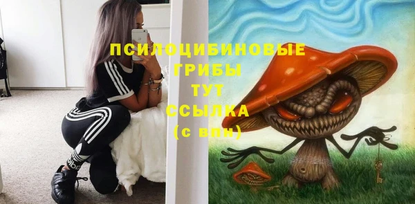 ГАЛЛЮЦИНОГЕННЫЕ ГРИБЫ Покачи