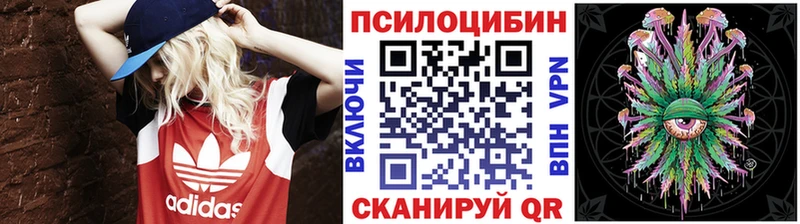 Галлюциногенные грибы Cubensis купить наркотик Собинка